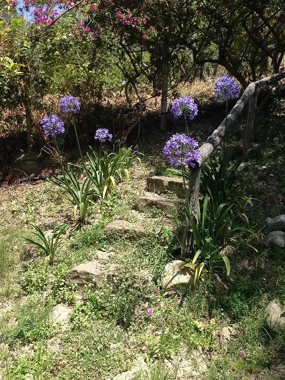 Maison d'hôtes Giardino Di Sicilia à SantʼAgata di Militello 0*,  Italie