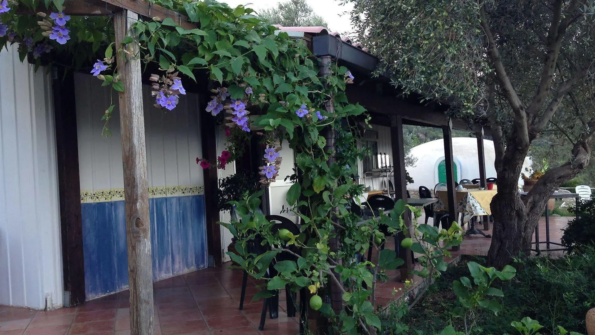 Giardino Di Sicilia Guest House Sant'Agata di Militello Country house