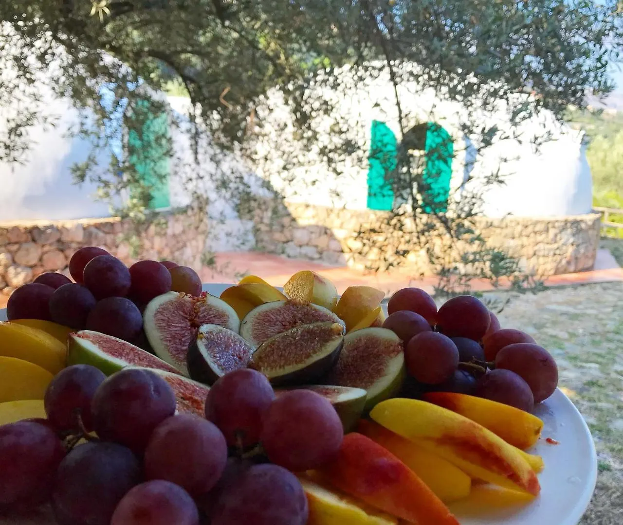 Giardino Di Sicilia Guest House Sant'Agata di Militello Country house